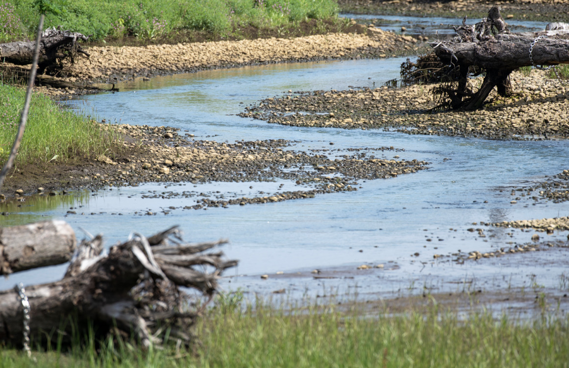 A close-up of the Lower Wapato Creek Habitat Site creek bed 