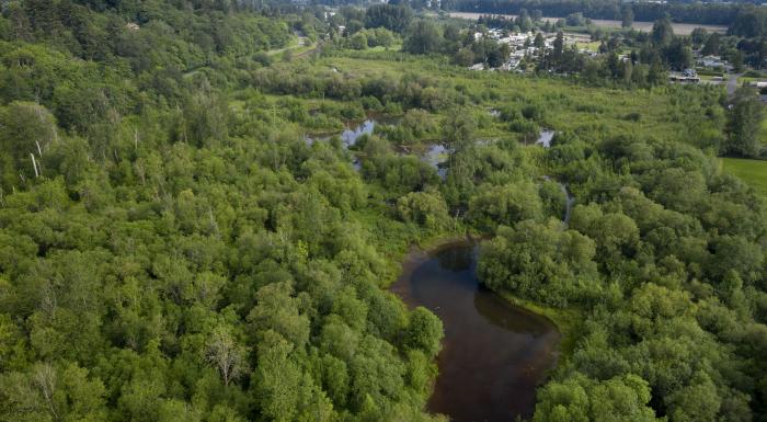 aerial photo of habitat site