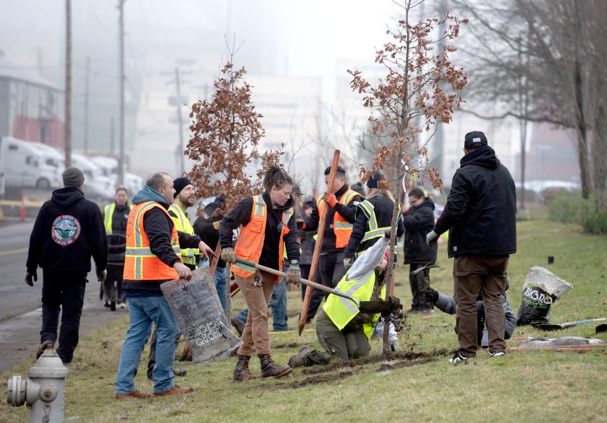 2024 Tree Planting